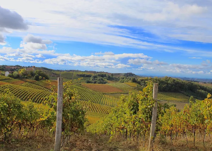Amazing Langhe And Monferrato | House With Garden Vakantiehuis Calamandrana