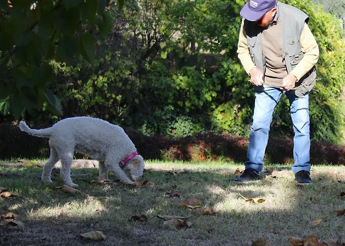 Amazing Langhe And Monferrato | House With Garden Vakantiehuis *