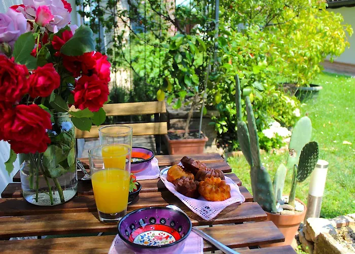 Vakantiehuis Amazing Langhe And Monferrato | House With Garden