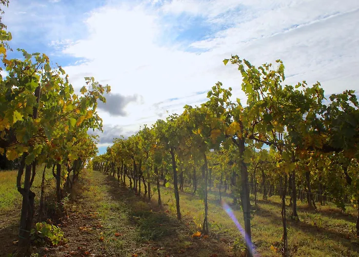 Amazing Langhe And Monferrato | House With Garden *